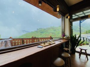 【旅遊-嘉義】霧裡村x百冠製茶-茶的個性