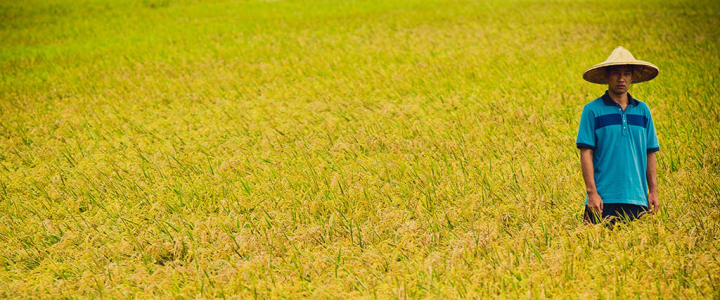 白米炸彈客 The Rice Bomber